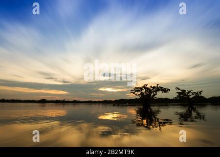 Panoramaaussicht Auf Den Laguna Grande Cuyabeno Nationalpark Sucumbios Ecuador Zoom-Blur Stockfoto