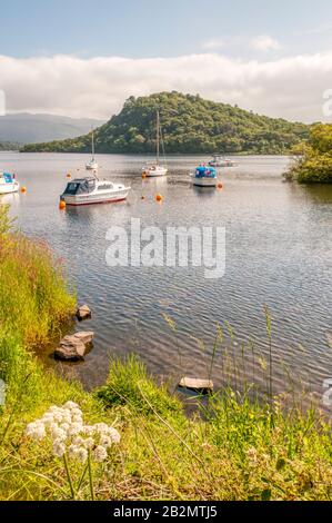 Die Vergnügungsboote legten in Aldochlay am Loch Lomond an, mit der Insel Inchtavannach im Hintergrund. Stockfoto