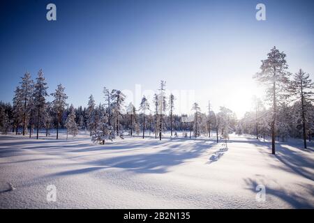 Winter in Lappland Finnland Stockfoto