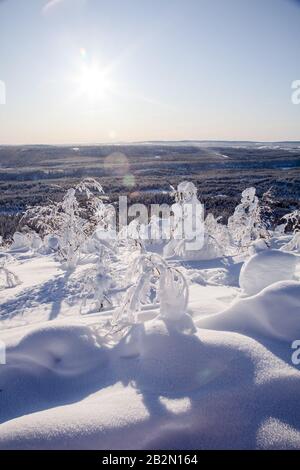 Winter in Lappland Finnland Stockfoto