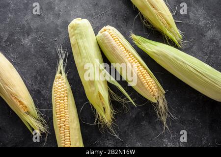 Frisch geerntete Maiskolben Stockfoto