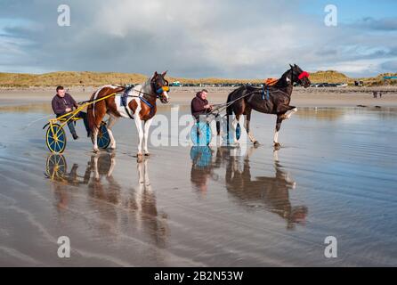 Banna Beach, Irland - 20. Oktober 2019: Männer, die Pferde auf sulkigen Karren reiten, Banna Beach an der Westküste Irlands Stockfoto