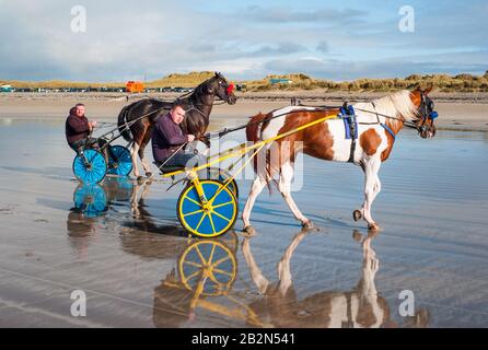 Banna Beach, Irland - 20. Oktober 2019: Männer, die Pferde auf sulkigen Karren reiten, Banna Beach an der Westküste Irlands Stockfoto