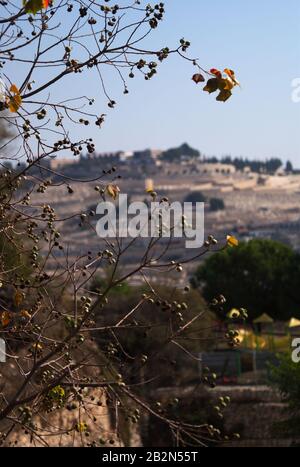 Nahoststreifen - Israel, Altstadt von Jerusalem Stockfoto