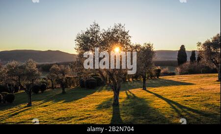 Tal der Toskana bei Sonnenuntergang goldene Stunde mit Bäumen und Rasen Stockfoto