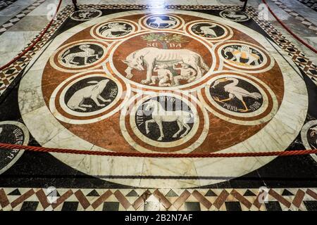 Marmorplatte mit der Geschichte des She-Wolf Sienese auf der Innenetage des Doms von Siena (Dom) Stockfoto