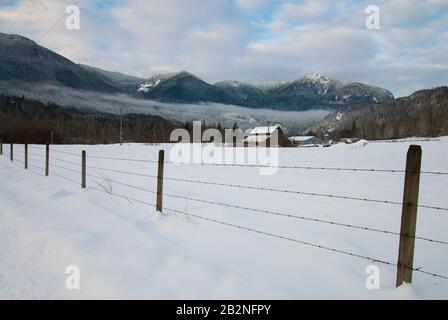 Barb-Drahtzaun auf landwirtschaftlichem Land in der Nähe des Lake Errock in Mission, British Columbia, Kanada Stockfoto