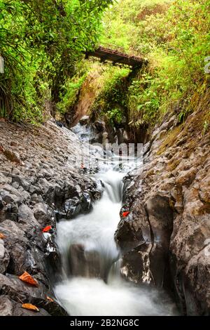 Ein schmaler Bach fließt schnell durch eine felsige Schlucht und erzeugt aufgrund einer langen Exposition einen glatten, weißen Wassereffekt. Der Fluss wird von dunklen, nassen Felsen und moosbedeckten Steinmauern flankiert, mit Stockfoto
