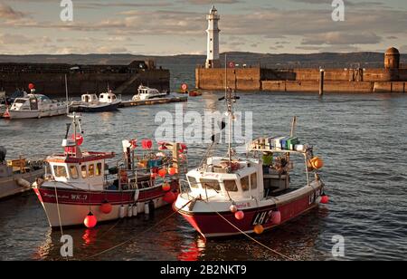 Newhaven Harbour, Leith, Edinburgh, Schottland, Großbritannien. März 2020. Zehn Grad Gefühl wie acht mit einem regen Wind Schaukeln die kleinen Fischerboote hin und her. Der Leuchtturm im Hintergrund. Stockfoto