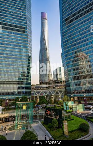 Shanghai, CHINA, 30. OKTOBER: Blick auf den berühmten Shanghai-Turm zwischen dem IFC-Einkaufszentrum in Lujiazui am 30. Oktober 2019 in Shanghai Stockfoto