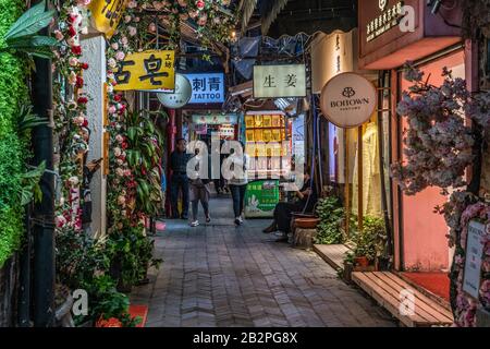 Shanghai, CHINA, 31. OKTOBER: Nachtszene im Einkaufsviertel TIanzifang, einem berühmten Touristenziel im französischen Konzessionsgebiet am 31. Oktober Stockfoto