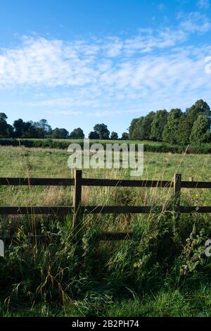 Blick über Felder, Rugby, Warwickshire, England Stockfoto