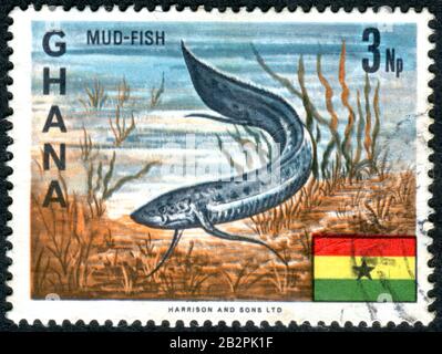 Ghana - CIRCA 1967: Eine in Ghana gedruckte Briefmarke, die den afrikanischen Lungfish (Protopterus annectens), ca. 1967, abbildet Stockfoto