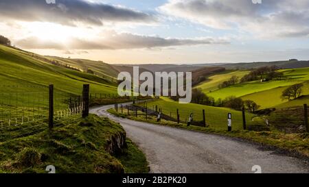 In der Nähe von Cwmrheidol, Aberystwyth, Ceredigion, Wales, Großbritannien. März 2020 Wetter in Großbritannien: Am späten Nachmittag fällt der Sonnenschein über das Rheidol-Tal nach einem gemischten Tag mit Sonnenschein und Wolken in Ceredigion, Mittelwales. © Ian Jones/Alamy Live News Stockfoto