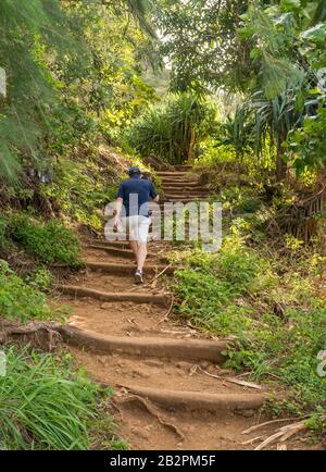 Älterer Wanderer Walsk den steilen Kalalau-Weg vom Ke'e Beach an der Nordküste von Kauai hinauf Stockfoto