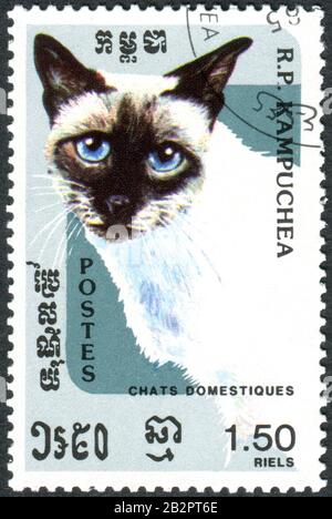 Kampuchea - CIRCA 1985: Ein Stempel, der in Kampuchea (Kambodscha) gedruckt wurde, zeigte den Seal-Point Siam (Felis silvestris catus), ca. 1985 Stockfoto