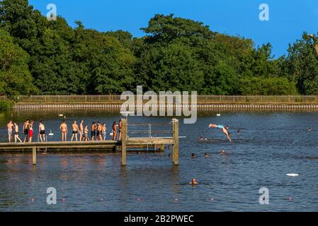 Men es schwimmen Teich in Hampstead Heath, London, England, UK Stockfoto