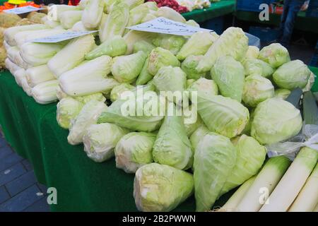 Stapel grüner Spitzkopfkabbeln (deutsches Wort auf Schild: Spitzkohl) auf dem niederländischen Markt Stockfoto