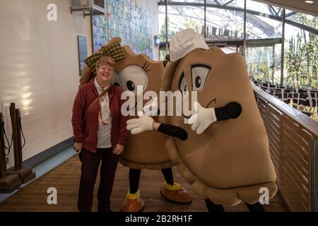 St. Austell, Großbritannien. Februar 2020. World Pasty Wettbewerb im Eden Project, Cornwall. Amateur- und Profibäcker aus aller Welt kämpfen um die ultimative Leckerbissen. Stockfoto