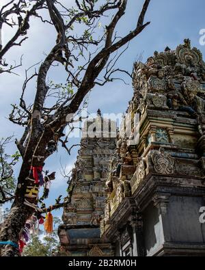 Sri Lanka, Seetha Eliya - August 2015: Stockfoto