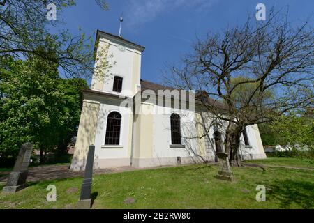 Dorfkirche, Alt-Luebars, Luebars, Reinickendorf, Berlin, Deutschland Stockfoto