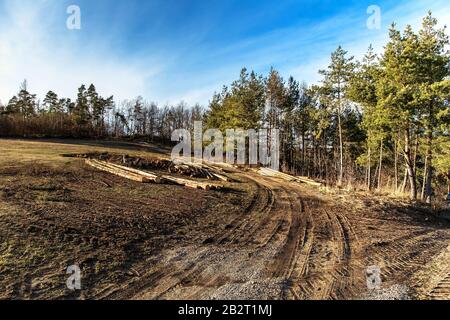 Das Fällen von Bäumen, die in Tschechien von Rindenkäfern befallen werden. Krustenalamheit. Kranker Wald. Klimawandel. Abendlicht. Stockfoto