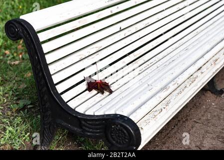 Bank und Ahorn-Blatt. Herbst im Park. Eine leere weiße Bank und ein kastanienbraunes Blatt. Stockfoto