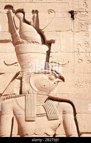 Sonniges Porträt im hieroglypischen Relief des altägyptischen falkengottes Horus in Edfu, Ägypten Stockfoto