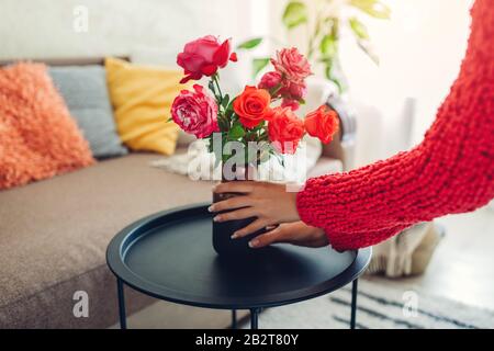 Frau legt Vase mit Blumenrosen auf Kaffeetisch. Hausfrau kümmert sich um Gemütlichkeit in Wohnung. Inneneinrichtung und Einrichtung Stockfoto