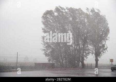 Autostrada del Brennero A22 Station Po est in Bagnolo San Vito, Lombardei, Italien. August 2019© Wojciech Strozyk / Alamy Stock Photo * Lokaler Kapitän Stockfoto