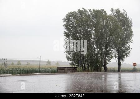 Autostrada del Brennero A22 Station Po est in Bagnolo San Vito, Lombardei, Italien. August 2019 © Wojciech Strozyk / Alamy Stock Photo Stockfoto