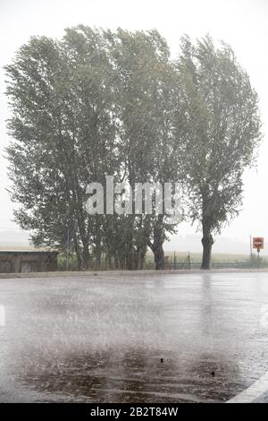 Autostrada del Brennero A22 Station Po est in Bagnolo San Vito, Lombardei, Italien. August 2019 © Wojciech Strozyk / Alamy Stock Photo Stockfoto