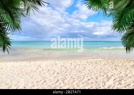 Sonniger tropischer Strandhintergrund mit Sandstrand, klarem Meerwasser und Palmen mit Kopierraum. Stockfoto