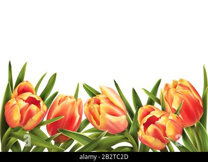 Farbenfroher Tulpen-Blumenstrauß isoliert auf weißem Hintergrund. Vektorgrafiken. Stock Vektor