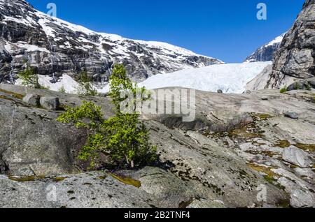 Der Gletscher Nigaardsbreen, Jostedalsbreen Nationalpark, Breheimen, Glanz, Sogn und Fjordane Fylke, Norwegen, Mai 2012 Stockfoto