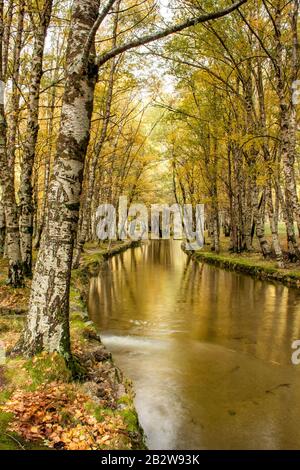 Herbst in Covão da Ametade, einem touristischen Ort in Serra da Estrela (Portugal), wo Rio Zêzere fließt Stockfoto