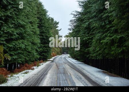 "Poiso' Weg bedeckt mit Schnee auf der Insel Madeira, Portugal Stockfoto