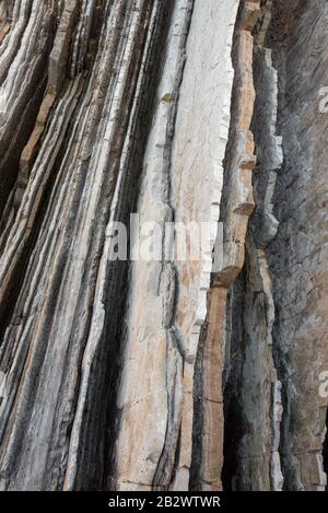 Felsschichten, geologische Textur Hintergrunddetails in Zumaia, Baskenland, Spanien. Stockfoto