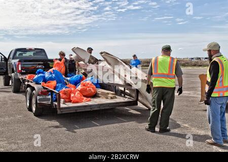 Trailer mit marinen Trümmern und Küstenablagerungen, die von Freiwilligen gesammelt und von Parkpersonal und Teilnehmern entladen wurden. Stockfoto