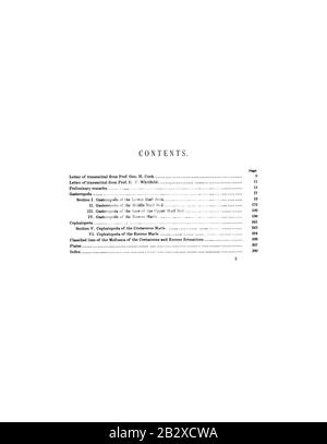 Gasteropoda und Cephalopoda der Raritan-Tone und Greensand Marls of New Jersey (Seite 5) Stockfoto