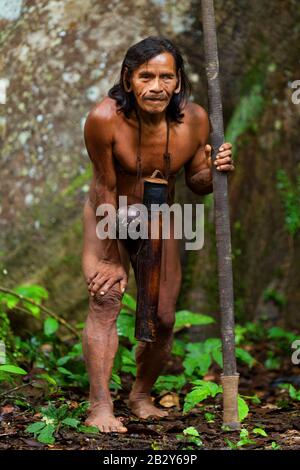 Typische Huaorani Shot Portrait Waorani Preserve Yasuni National Park Ecuador Schießen In Der Forstwirtschaft In Mittlerem Licht Stockfoto