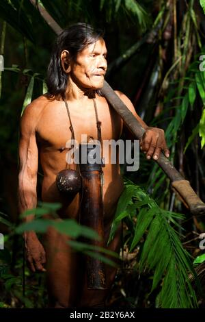 Typische Huaorani Shooter Portrait Waorani Reserve Yasuni National Park Ecuador Schießen Im Wald Bei Umgebungslicht Stockfoto