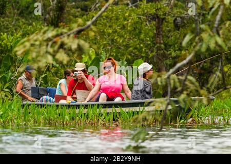 Touristen, Die Legendären Piranhas Fisch Im Ecuadorianischen Amazonischen Primärholz Angeln Stockfoto
