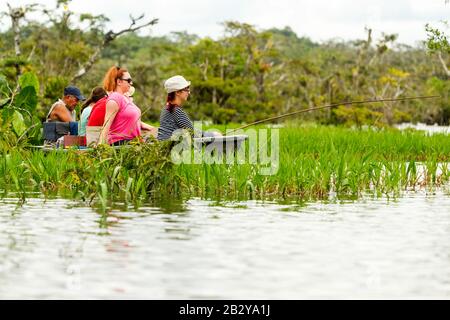 Pilgerjagd Legendärer Piranha-Fang Im Ecuadorianischen Amazonischen Primärholz Stockfoto