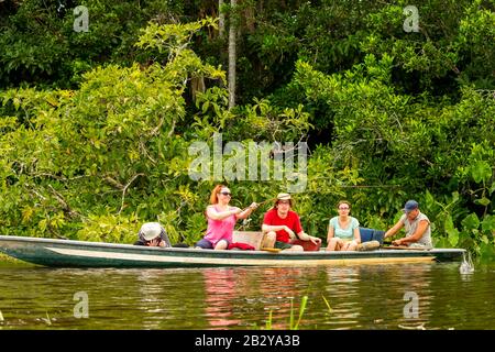 Pionierfischerei Der Legendäre Piranhas Fisch Im Ecuadorianischen Amazonas-First-Forestry Stockfoto