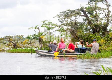 Besucher Angeln Legendärer Piranha-Fang Im Ecuadorianischen Amazonischen First Forest Stockfoto