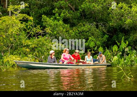 Trekker Angeln Legendärer Piranhas Fangen Im Ecuadorianischen Amazonas-Dschungel An Stockfoto