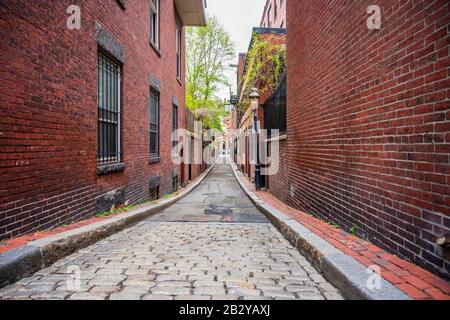 Die Straße eines mehrstöckigen, mit grünen Bäumen umwoben roten Ziegelsteinapartments in Boston schafft die Wirkung, Natur und Stadt zu einem zu verbinden Stockfoto