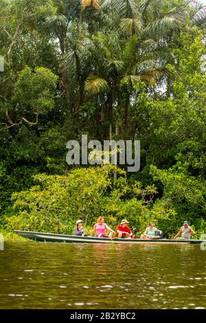 Pionierfischerei Legendärer Piranha-Fang In Ecuadorianischer Amazonischer Primärforste Stockfoto