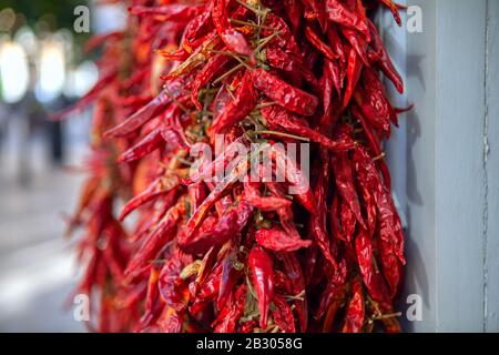 Rote heiße Paprika auf dem asiatischen Markt Stockfoto